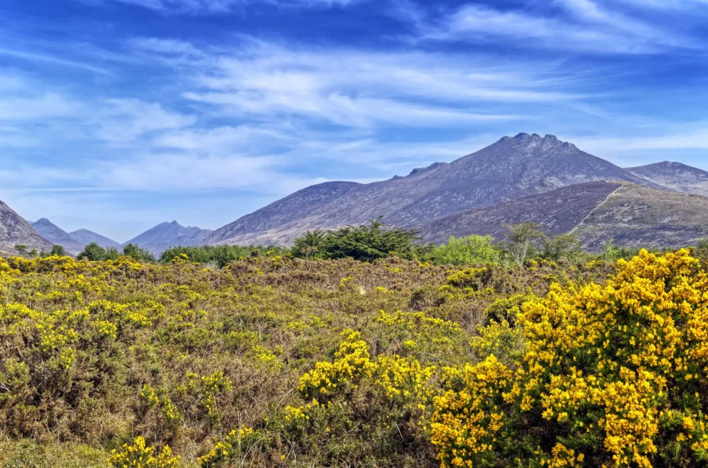 Mourne Mountains
